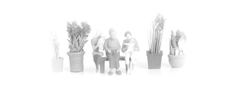 Nottebohm foundation Nottebohm foundation